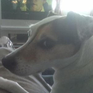 Meet your Posher, Patrick